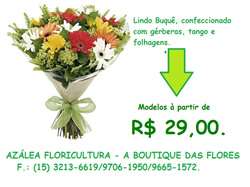 Azalea Floricultura foto 4